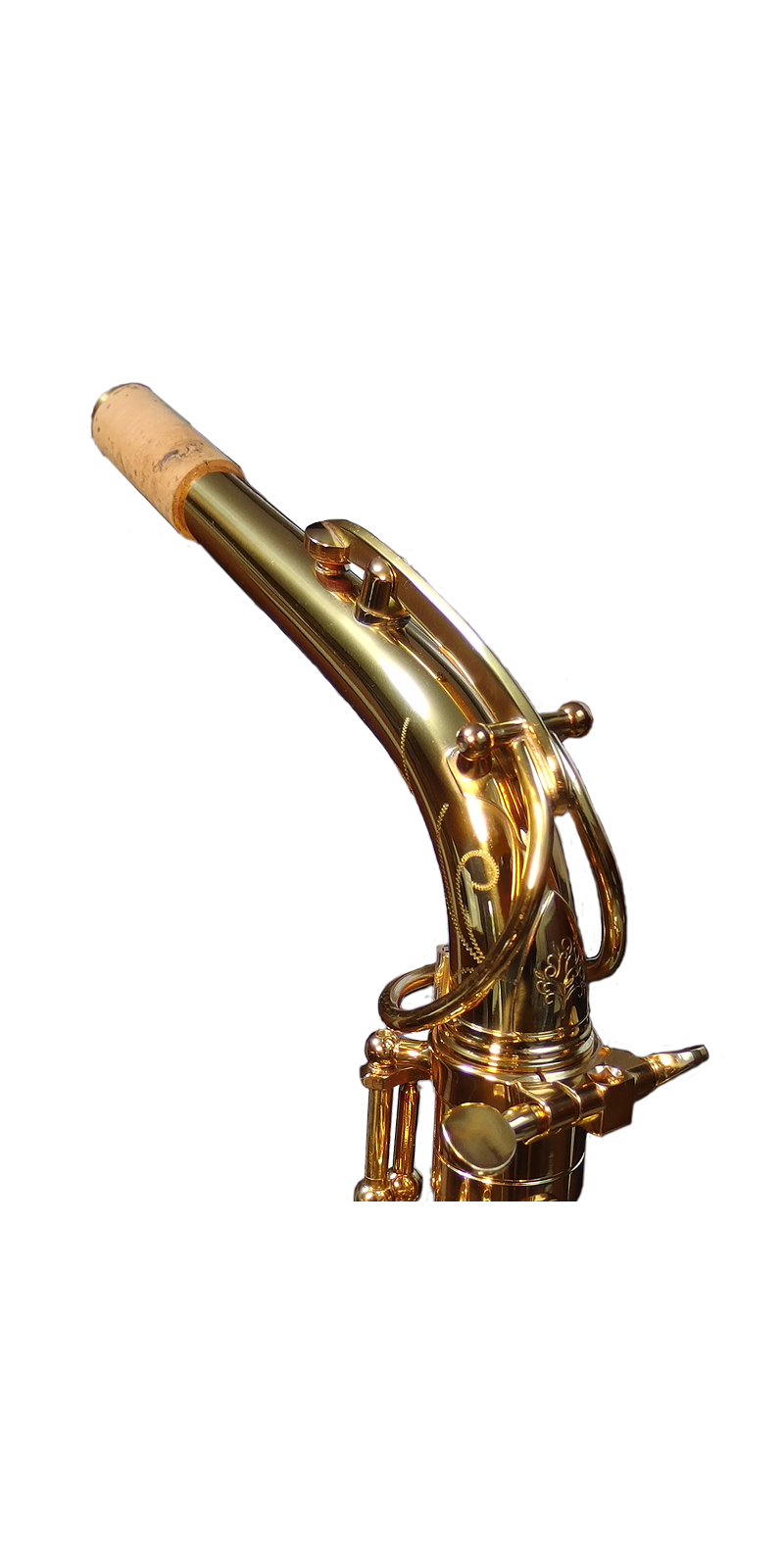 Forestone Vintage Neck for Alto Saxophone - Gold Lacquered