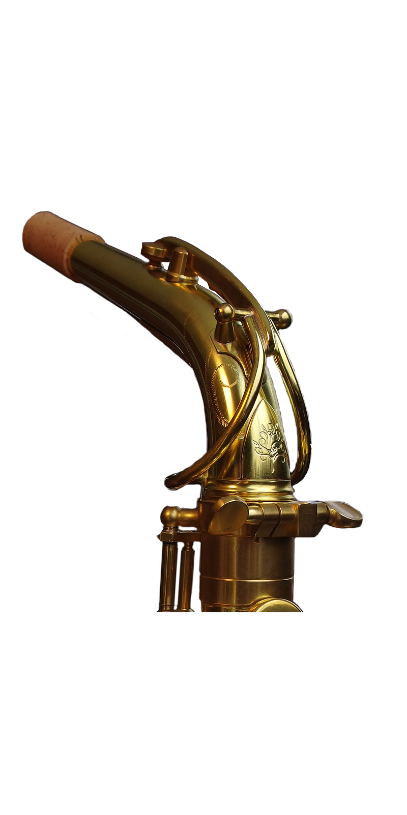 Forestone Vintage Neck for Alto Saxophone - Unlacquered